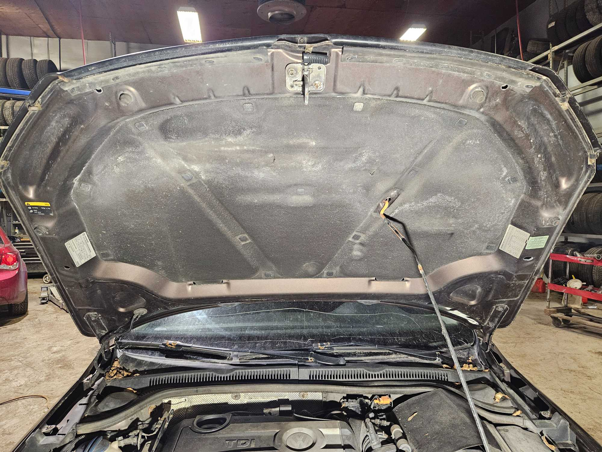 Hood-2014  Volkswagen JETTA