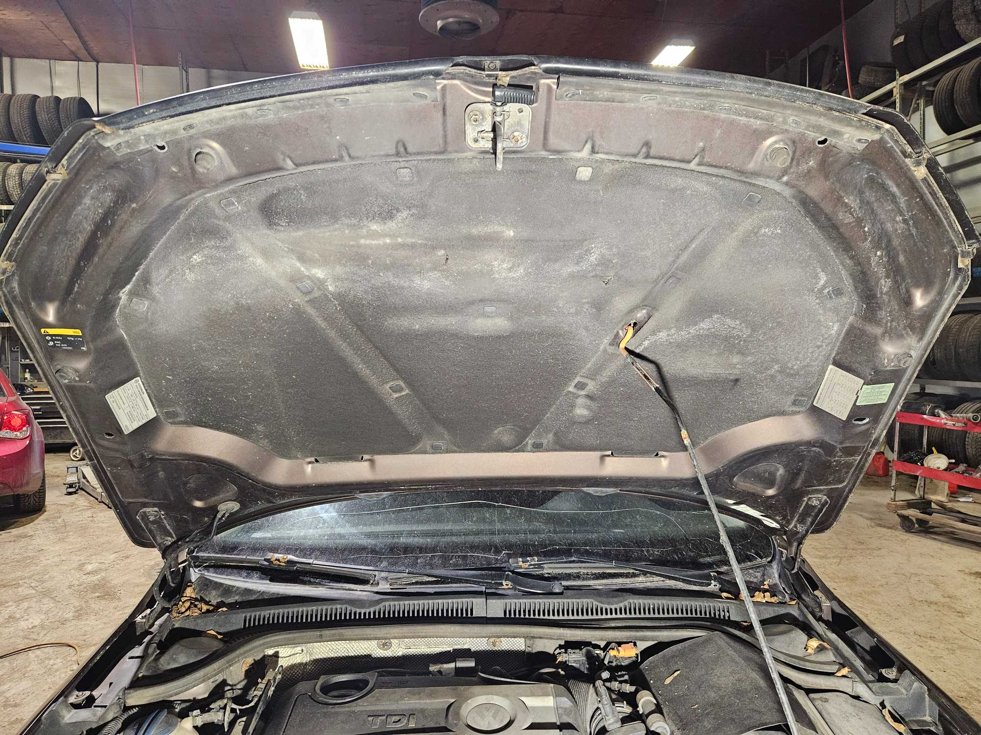 Hood-2014  Volkswagen JETTA