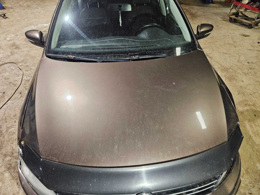 Hood-2014  Volkswagen JETTA
