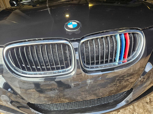 Grill-2009  BMW 323i